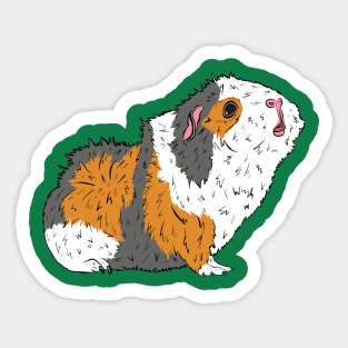 Pop Art Pet Guinea Pig Sticker